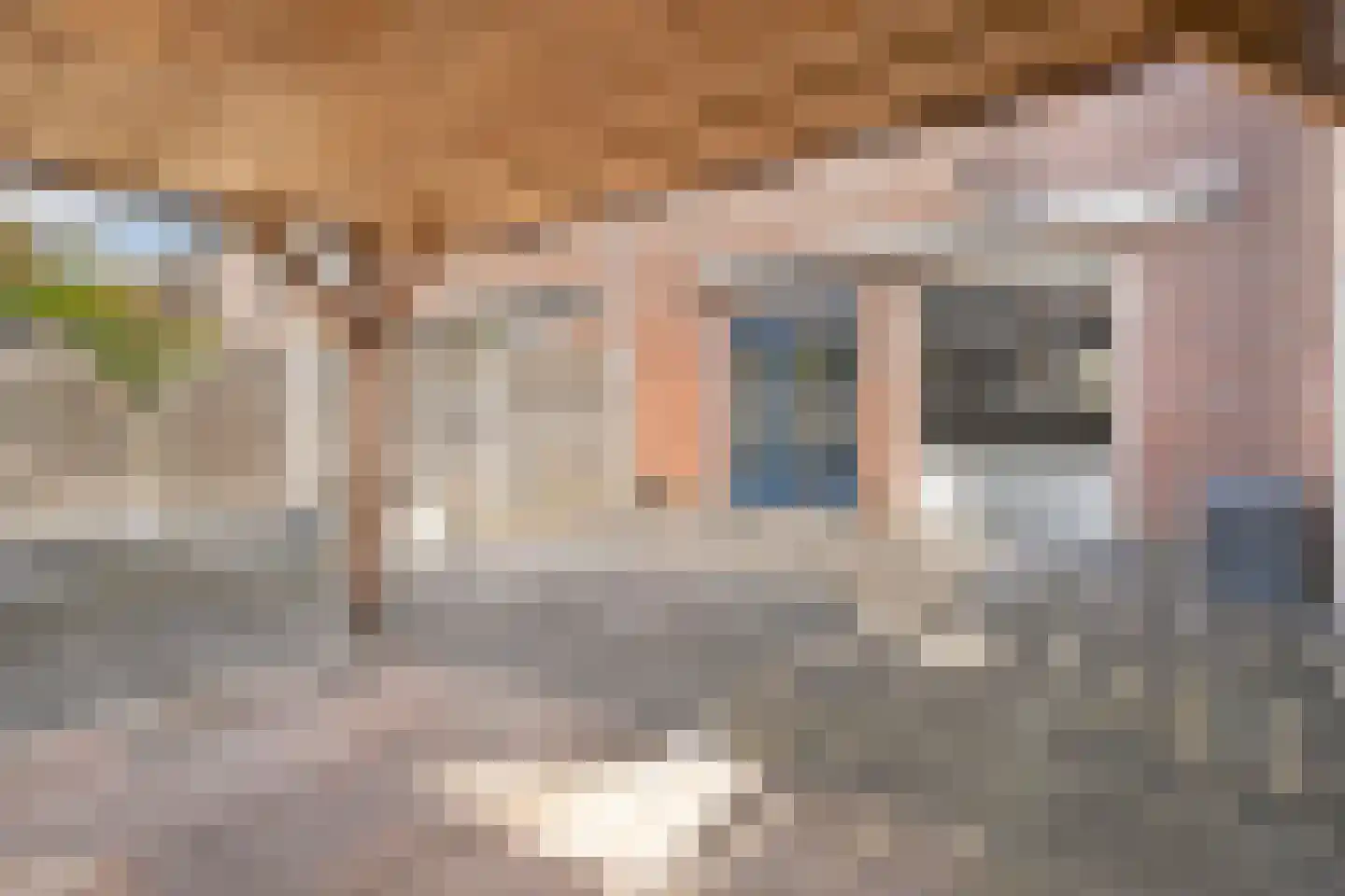 Oostercluft 340 Steenwijk thumbnail 35