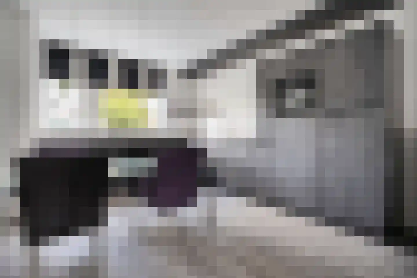 Oostercluft 340 Steenwijk thumbnail 5