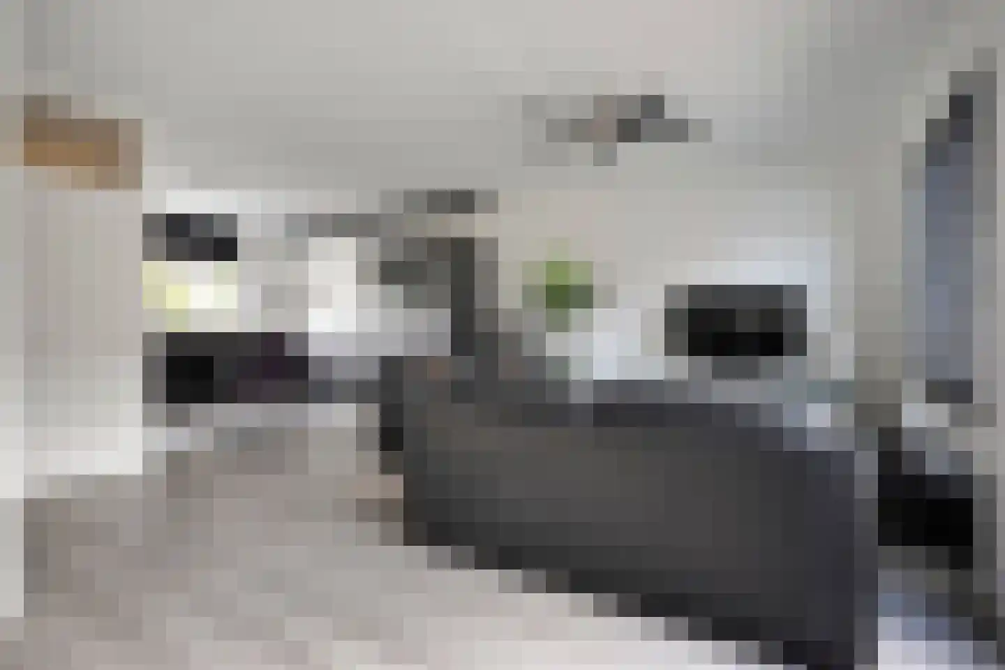 Oostercluft 340 Steenwijk thumbnail 6