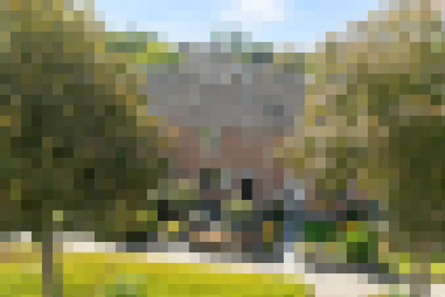Oostercluft 340 Steenwijk thumbnail 9