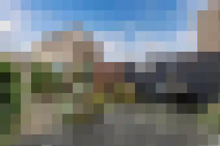 Oostercluft 368 Steenwijk thumbnail 28
