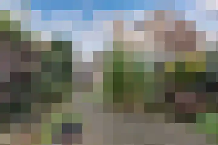 Oostercluft 368 Steenwijk thumbnail 29