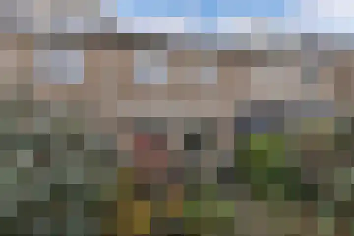 Oostercluft 368 Steenwijk thumbnail 32
