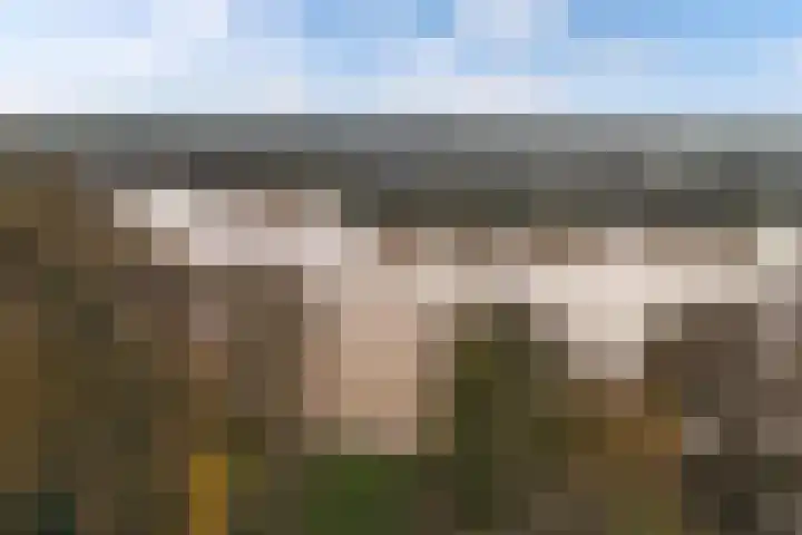 Oostercluft 368 Steenwijk thumbnail 35