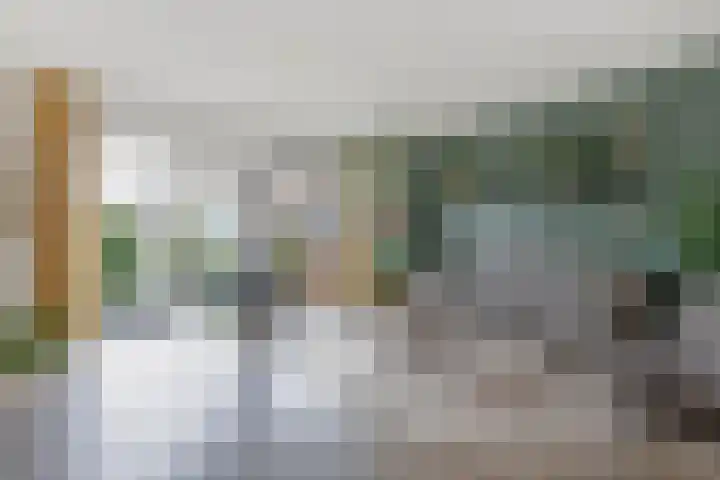 Oostercluft 368 Steenwijk thumbnail 6