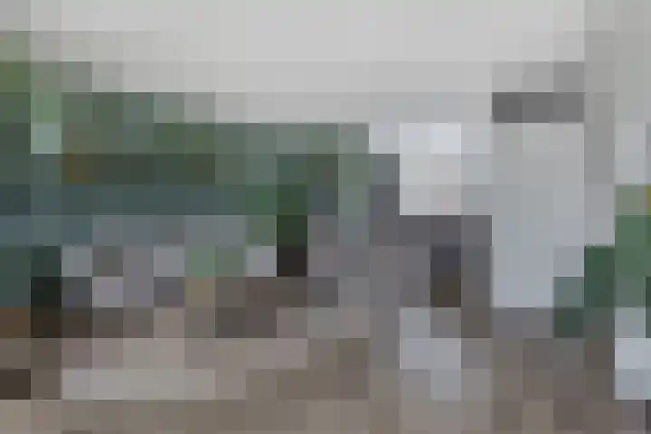 Oostercluft 368 Steenwijk thumbnail 8
