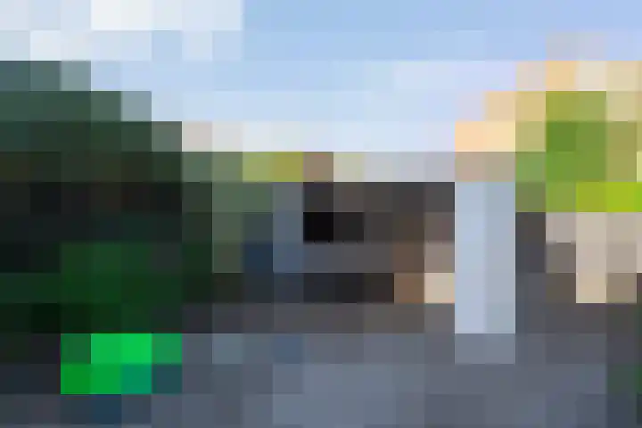 Oostercluft 390 Steenwijk thumbnail 21