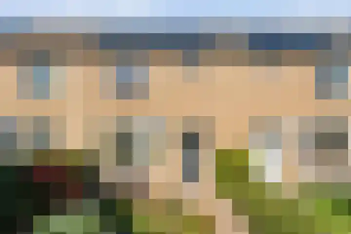 Oostercluft 390 Steenwijk thumbnail 29