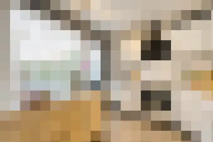 Oostercluft 390 Steenwijk thumbnail 7