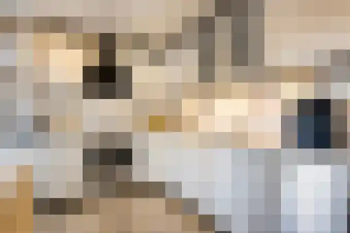Oostercluft 390 Steenwijk thumbnail 8