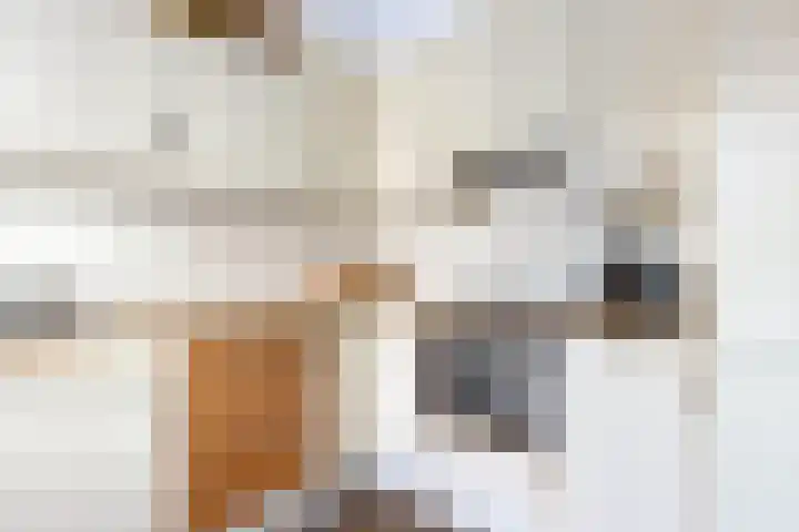 Oostercluft 420 Steenwijk thumbnail 16