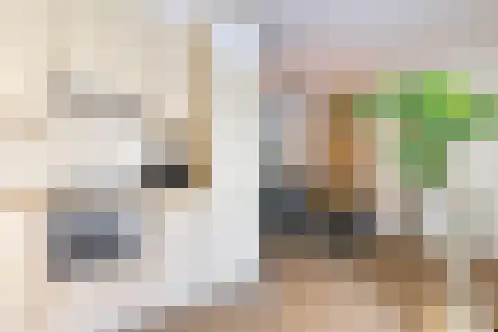 Oostercluft 420 Steenwijk thumbnail 17