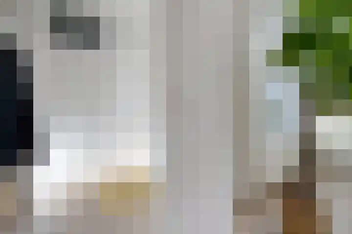 Oostercluft 420 Steenwijk thumbnail 21