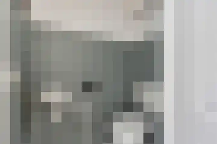 Oostercluft 420 Steenwijk thumbnail 22