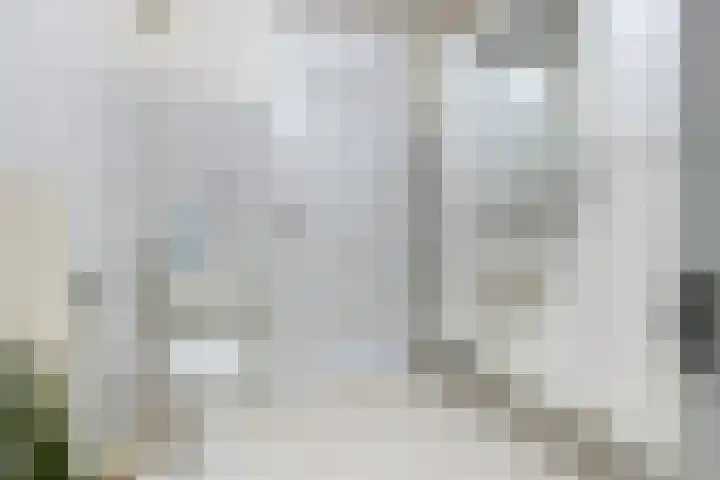 Oostercluft 420 Steenwijk thumbnail 31
