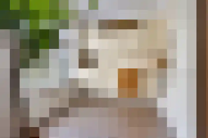Oostercluft 420 Steenwijk thumbnail 4