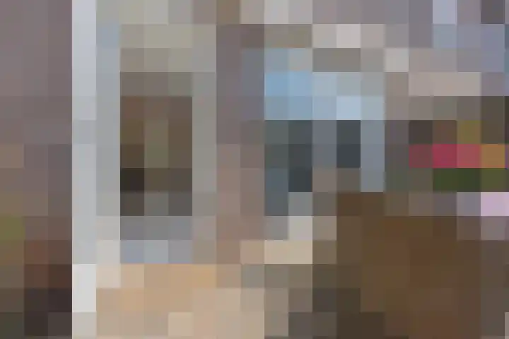 Oostercluft 420 Steenwijk thumbnail 40