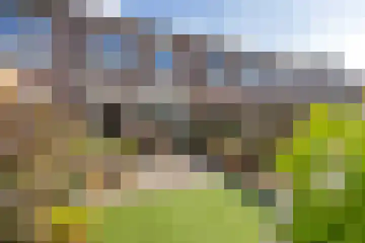 Oostercluft 420 Steenwijk thumbnail 41