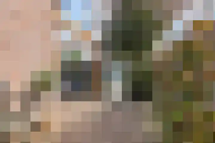 Oostercluft 420 Steenwijk thumbnail 8