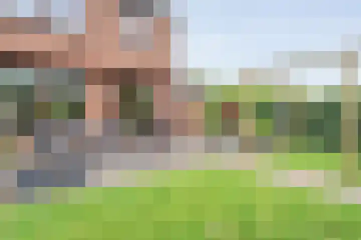 Oostercluft 46 Steenwijk thumbnail 24
