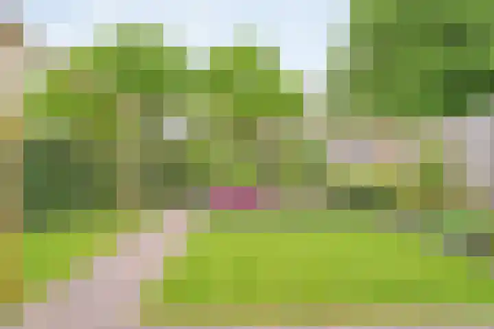 Oostercluft 46 Steenwijk thumbnail 26