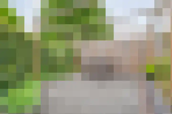 Oostercluft 46 Steenwijk thumbnail 27
