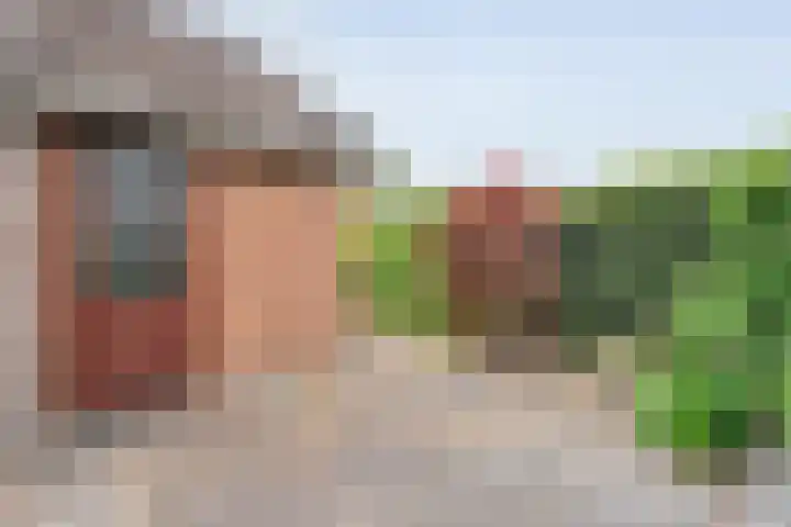 Oostercluft 46 Steenwijk thumbnail 28
