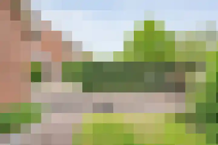 Oostercluft 46 Steenwijk thumbnail 29