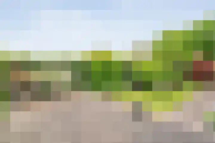 Oostercluft 46 Steenwijk thumbnail 30