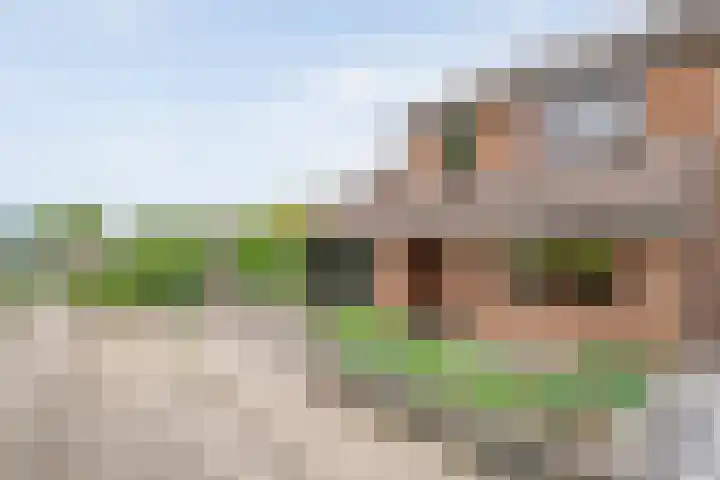 Oostercluft 46 Steenwijk thumbnail 32