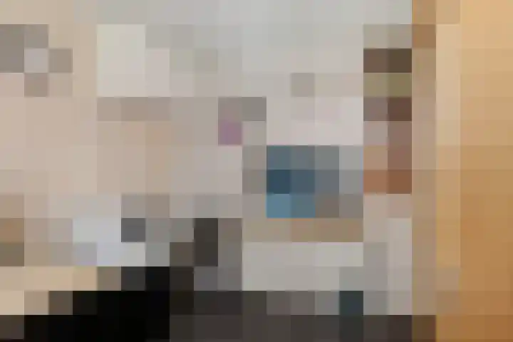 Oostercluft 59 Steenwijk thumbnail 32