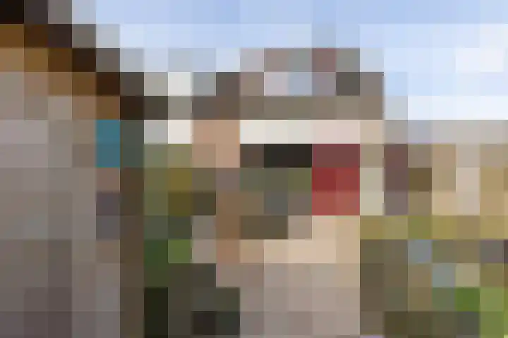 Oostercluft 59 Steenwijk thumbnail 44