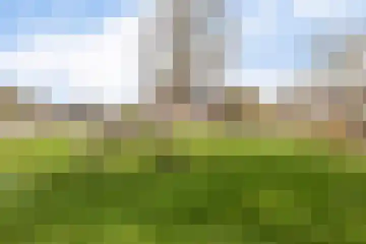Oostercluft 59 Steenwijk thumbnail 46