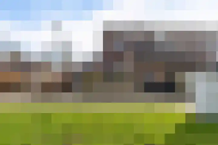 Oostercluft 59 Steenwijk thumbnail 6