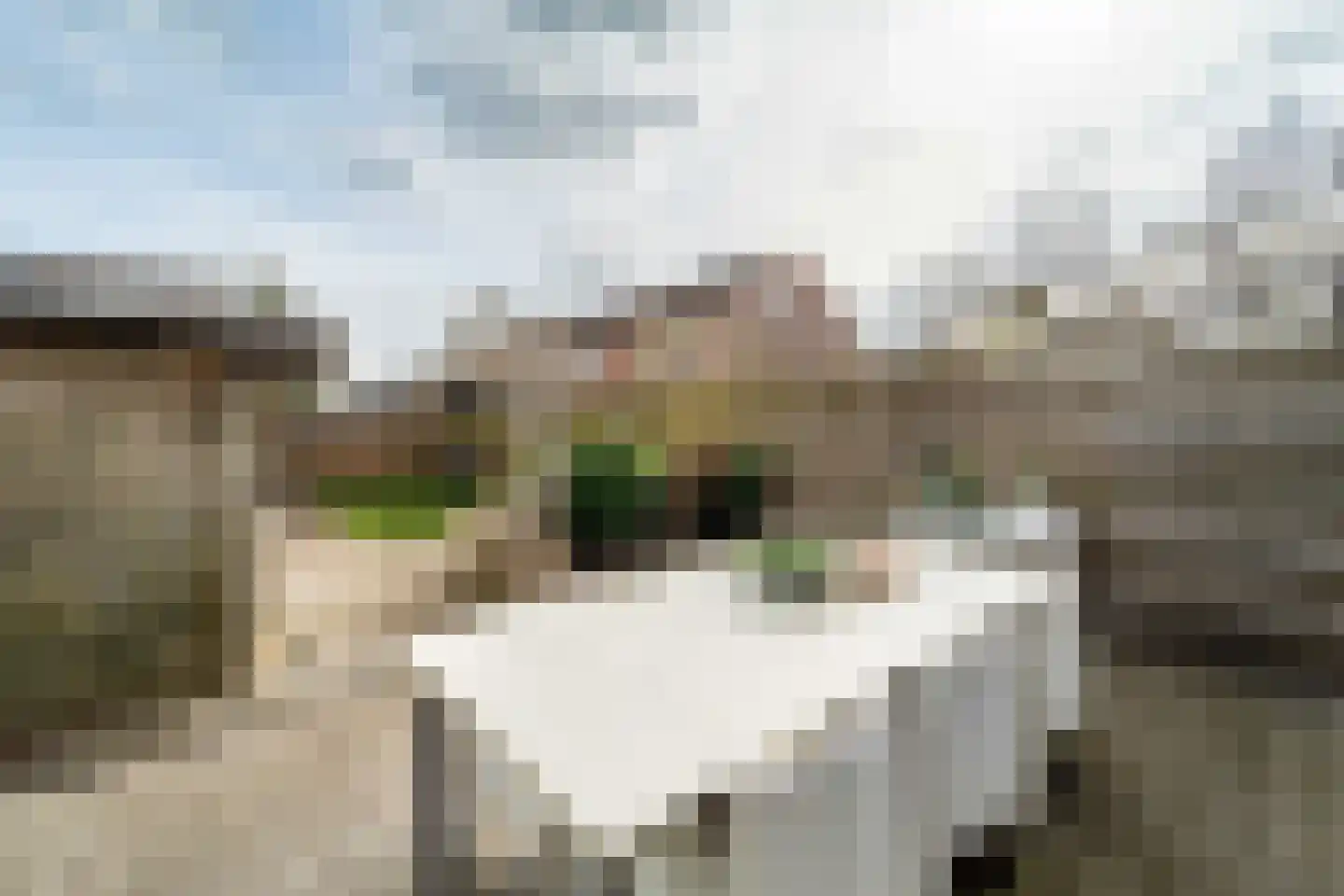 Oostercluft 73 Steenwijk thumbnail 28