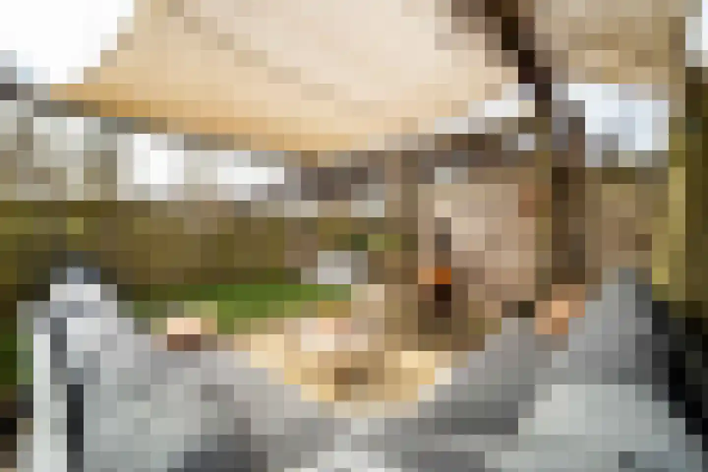 Oostercluft 73 Steenwijk thumbnail 33