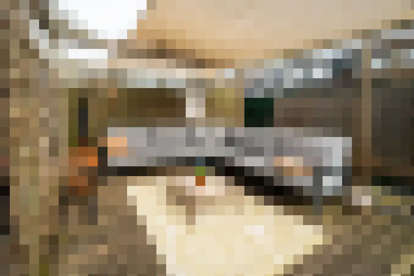 Oostercluft 73 Steenwijk thumbnail 34
