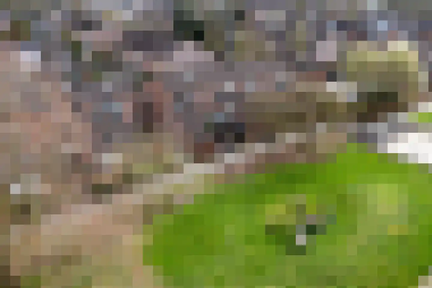 Oostercluft 73 Steenwijk thumbnail 53