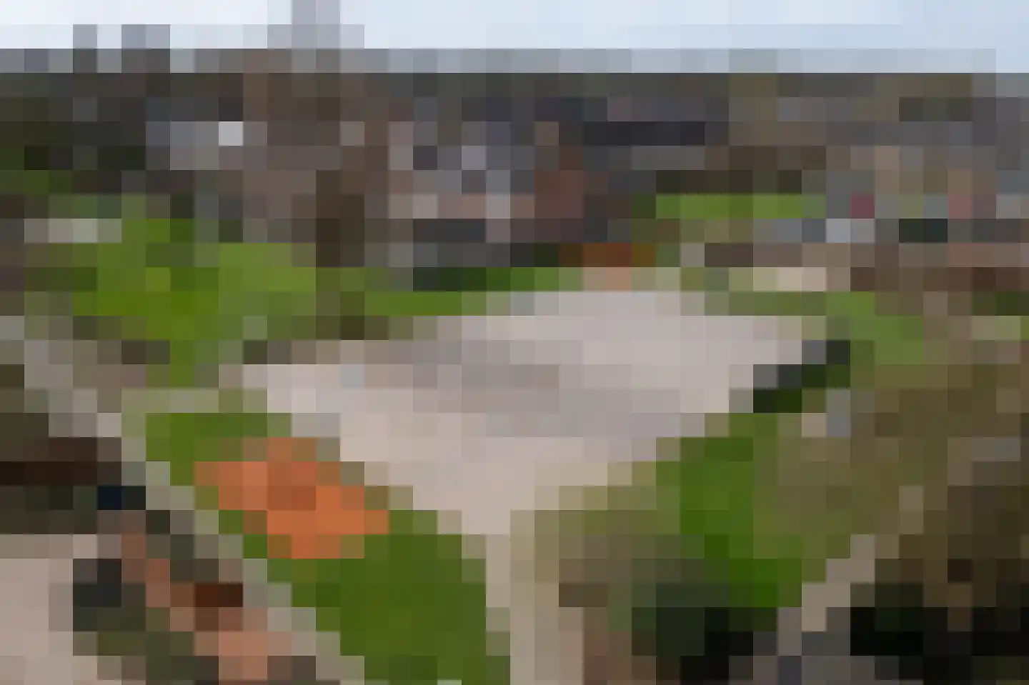 Oostercluft 73 Steenwijk thumbnail 54