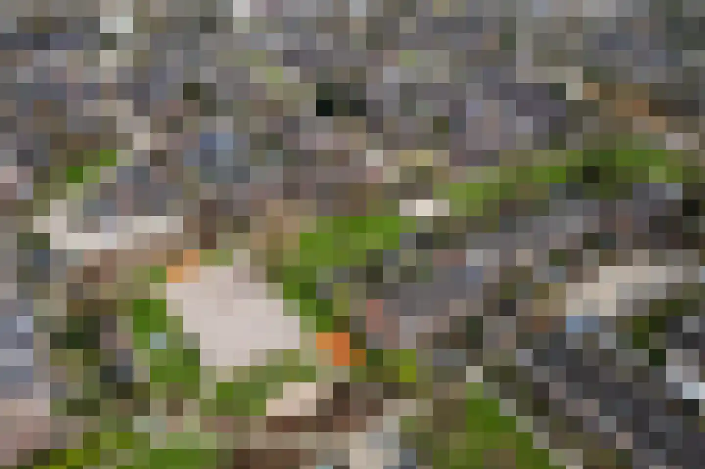 Oostercluft 73 Steenwijk thumbnail 55