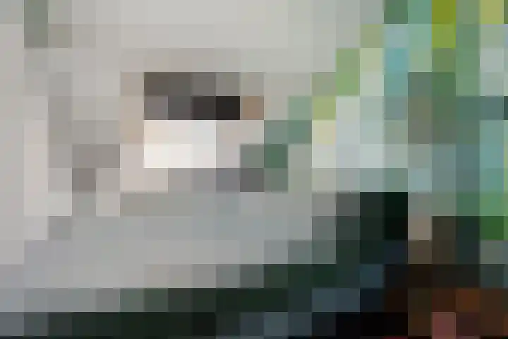 Oostercluft 77 Steenwijk thumbnail 16