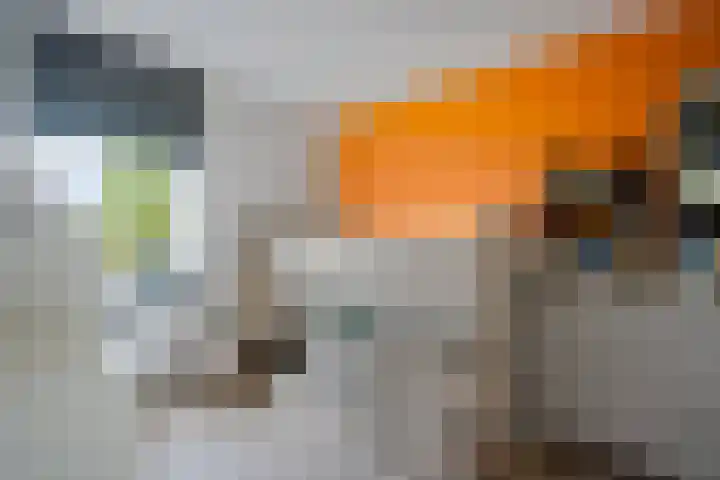 Oostercluft 77 Steenwijk thumbnail 18