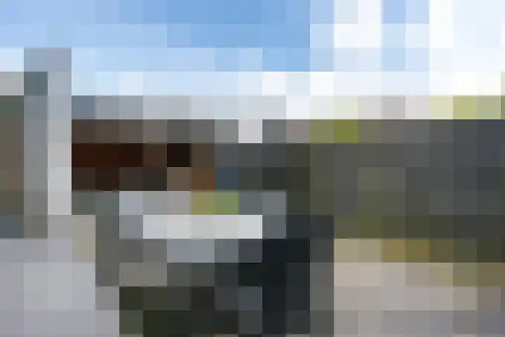 Oostercluft 77 Steenwijk thumbnail 28