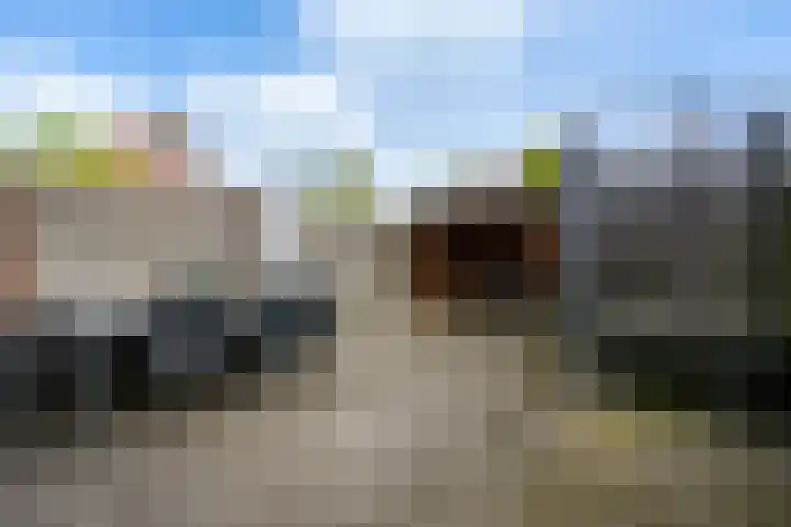 Oostercluft 77 Steenwijk thumbnail 29