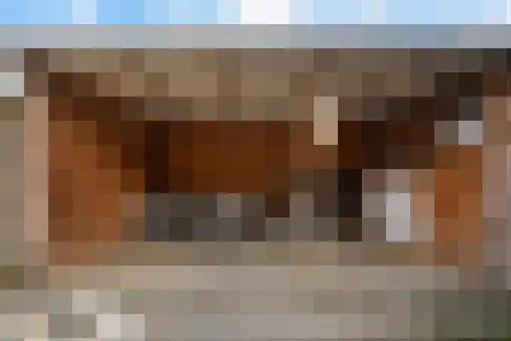 Oostercluft 77 Steenwijk thumbnail 30