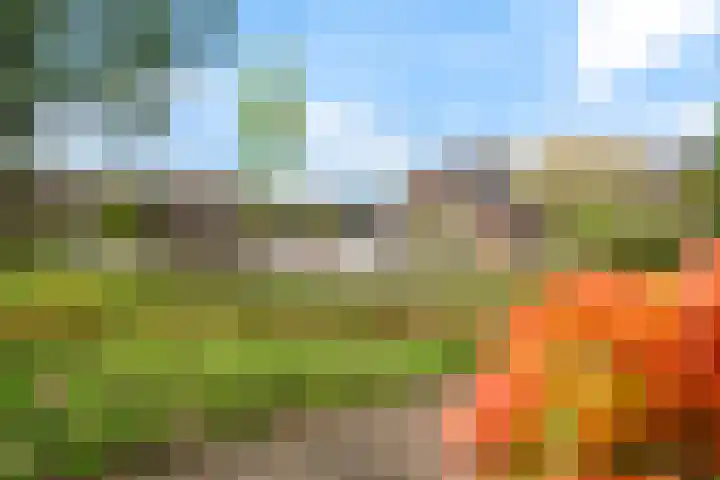Oostercluft 77 Steenwijk thumbnail 36