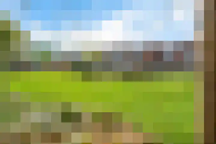Oostercluft 77 Steenwijk thumbnail 37