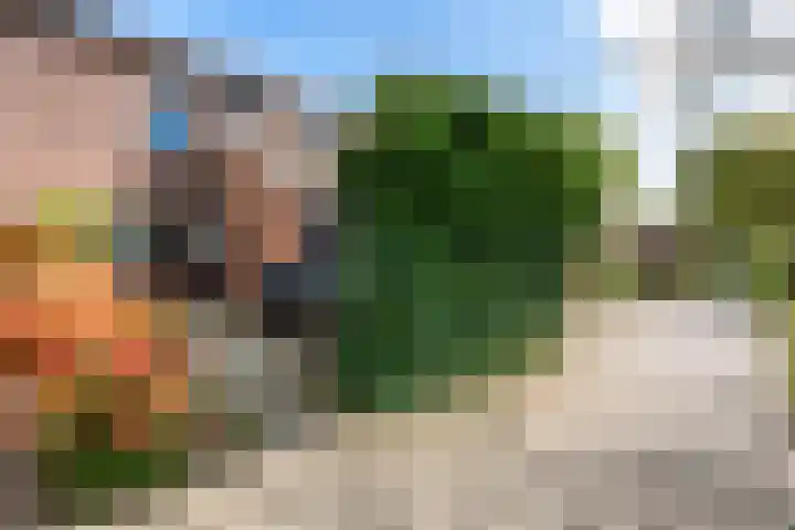 Oostercluft 77 Steenwijk thumbnail 41