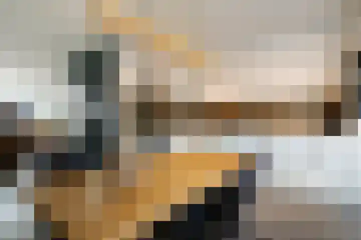 Oostercluft 77 Steenwijk thumbnail 8