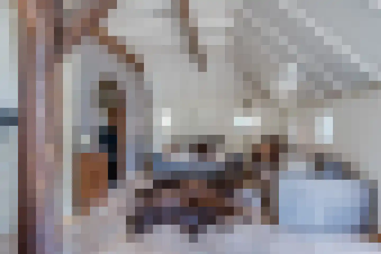 Oosterdallaan 1 Paasloo thumbnail 11